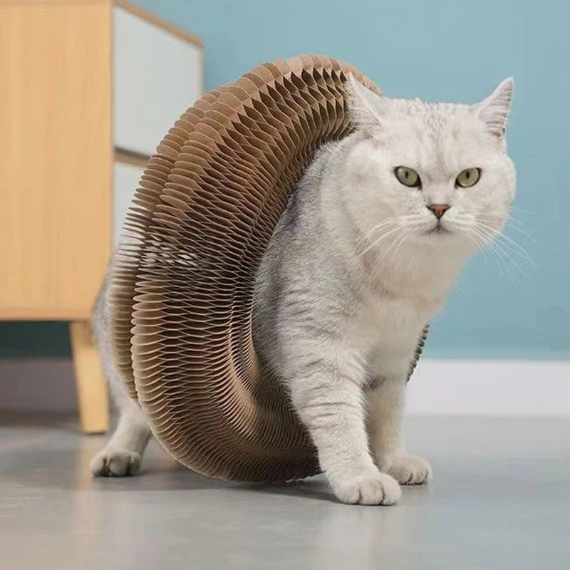 Lustiges Katzenspielzeug