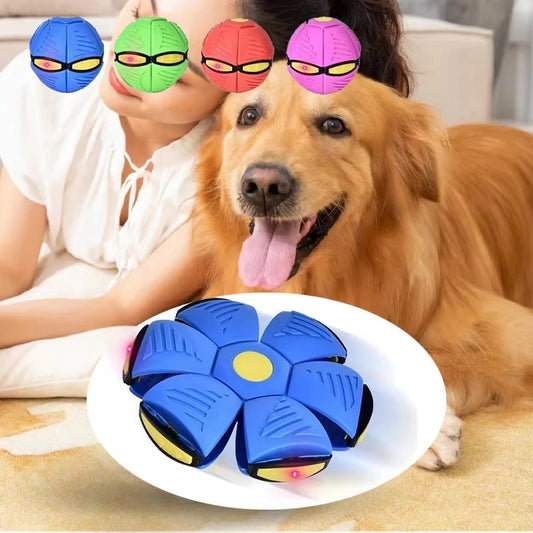 2-in-1 Hunde Frisbee Ball – Magische UFO-Flugscheibe für aktives Spiel & Training