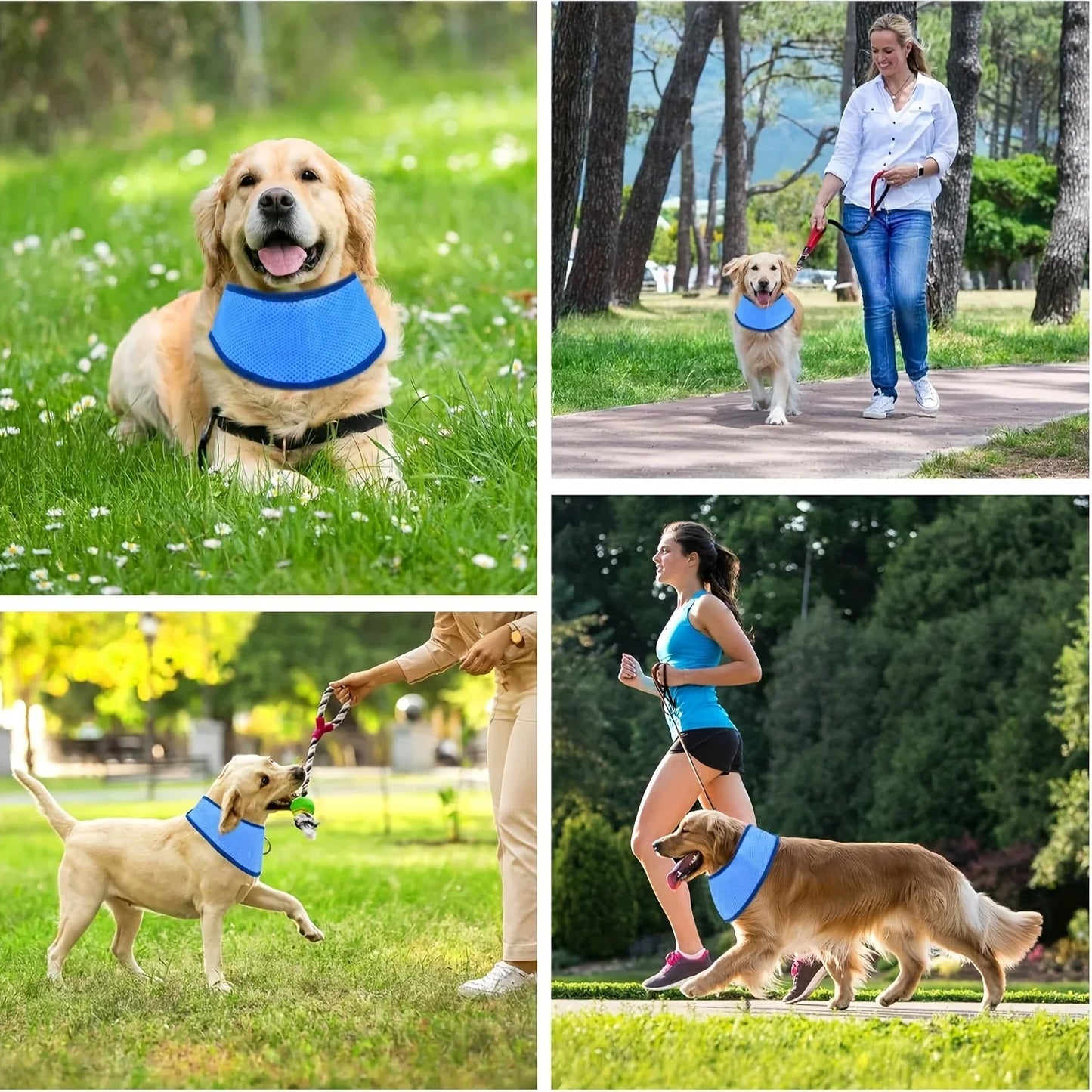 Erfrischungsschal für Hunde & Katzen