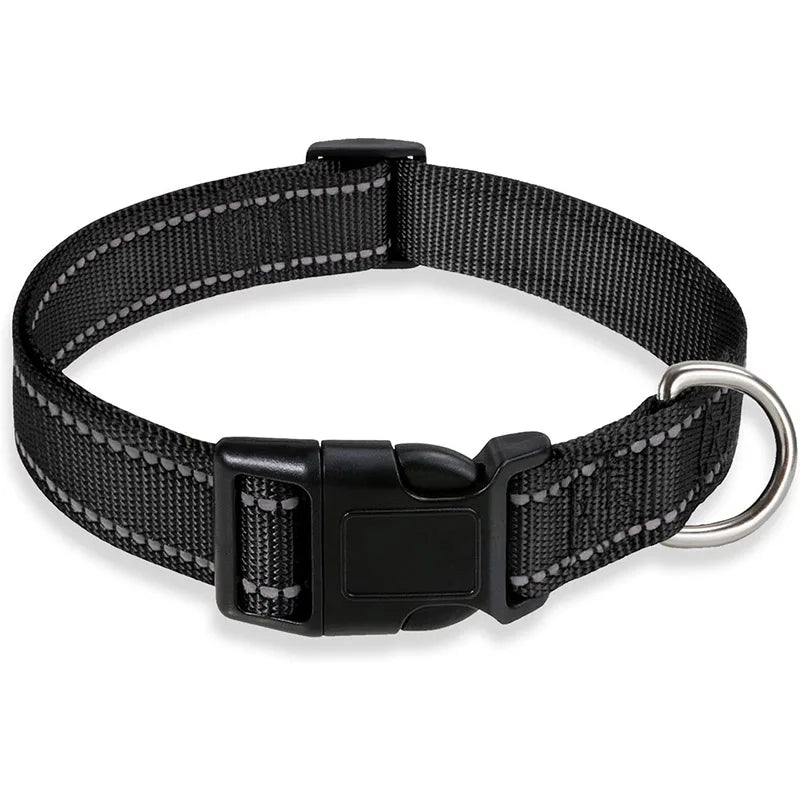 Reflektierendes, verstellbares Hundehalsband