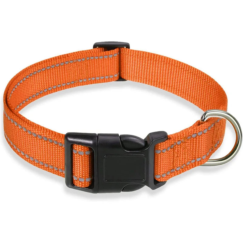Reflektierendes, verstellbares Hundehalsband