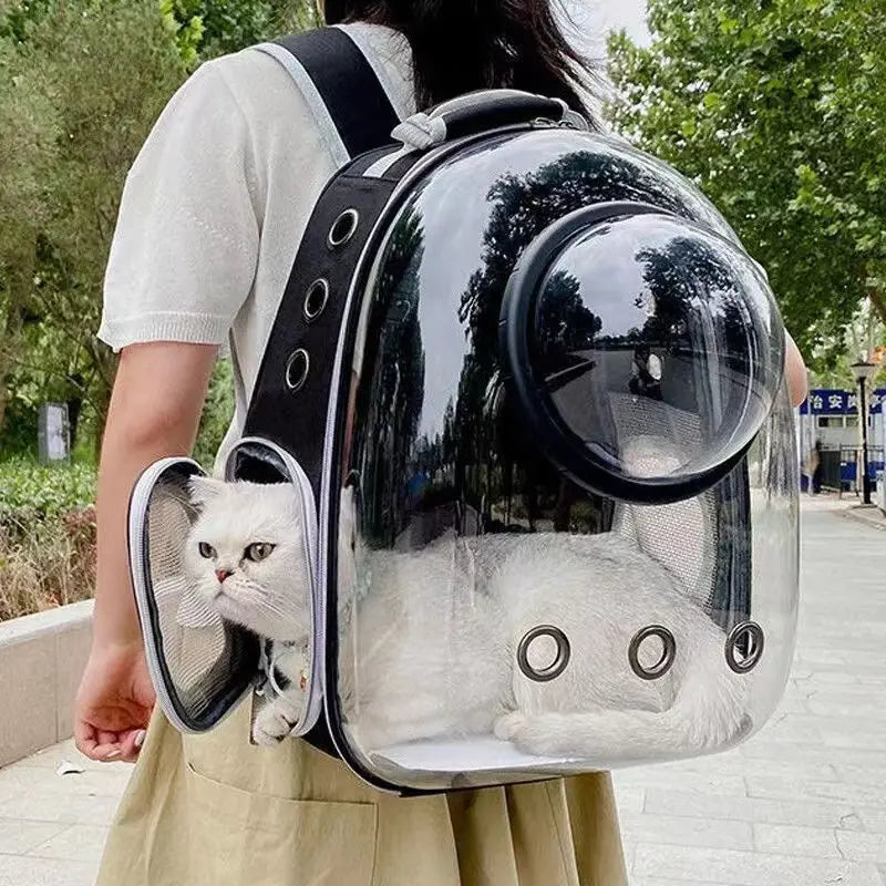 Rucksack für Haustiere