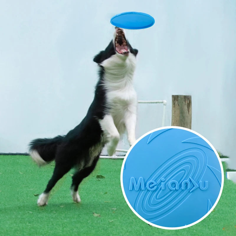 Bissfester Hundefrisbee