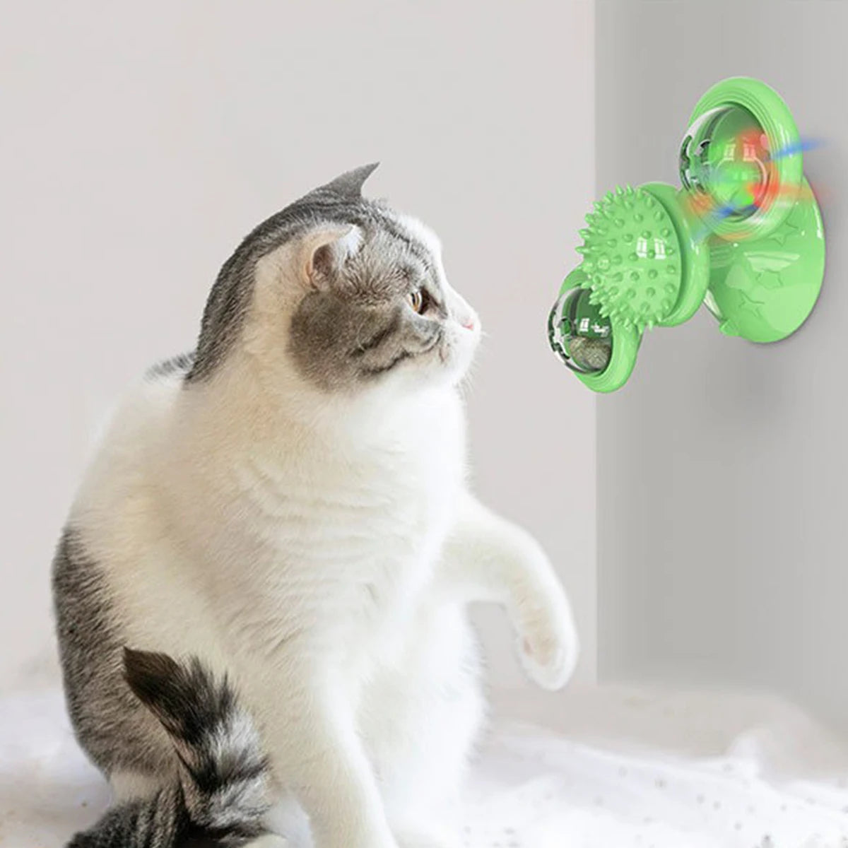 Multifunktionales Katzenspielzeug