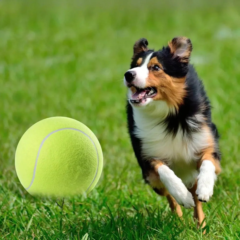 Großer Tennisball für Hunde