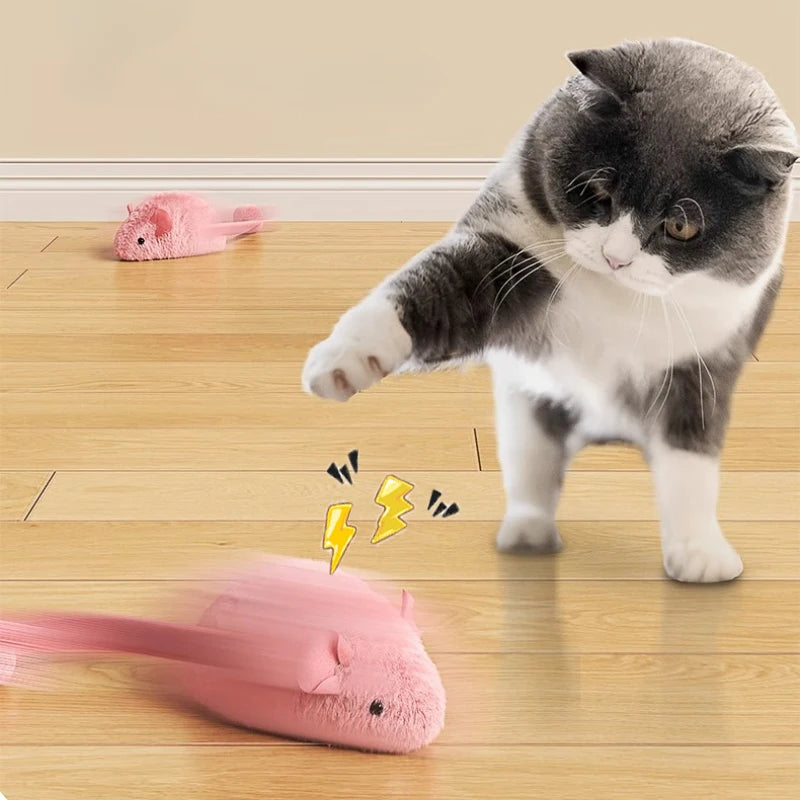 Interaktive Maus Plüsch-Katzenkauspielzeug