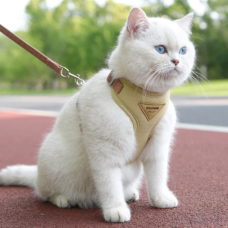 Geschirr mit Leine für kleine Hunde & Katzen