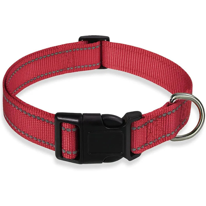 Reflektierendes, verstellbares Hundehalsband