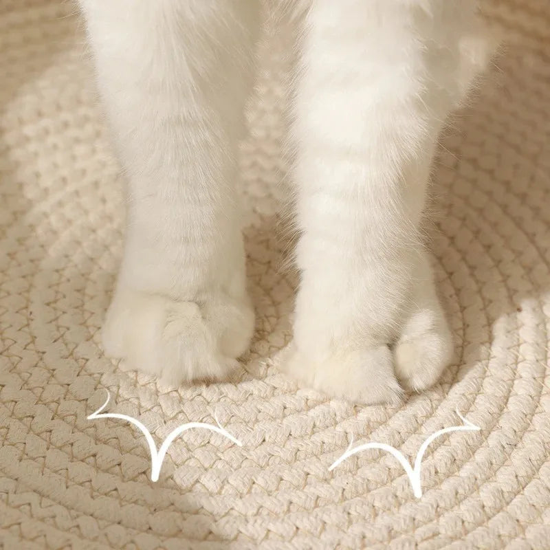 Leichtes Sommerbett für Katzen