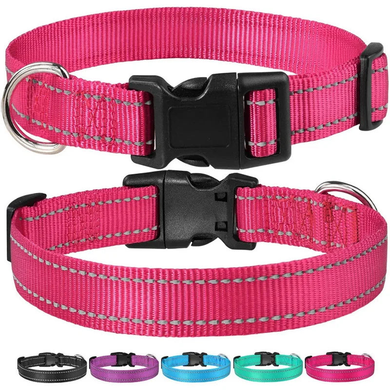 Reflektierendes, verstellbares Hundehalsband