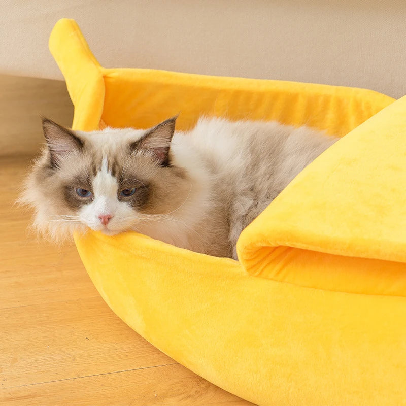 Bananen-Bett