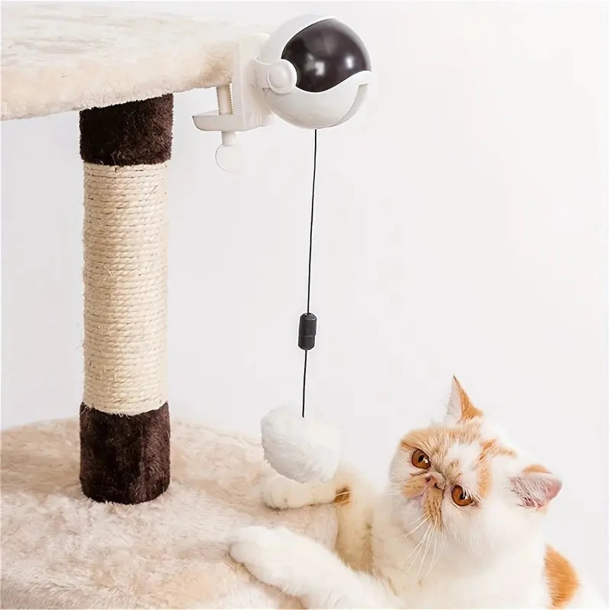 Elektrisches Katzenspielzeug mit Hebeball