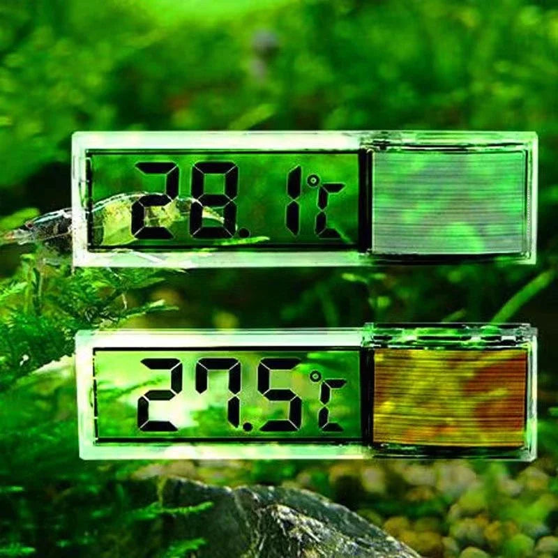 Digitales Aquarium-Thermometer