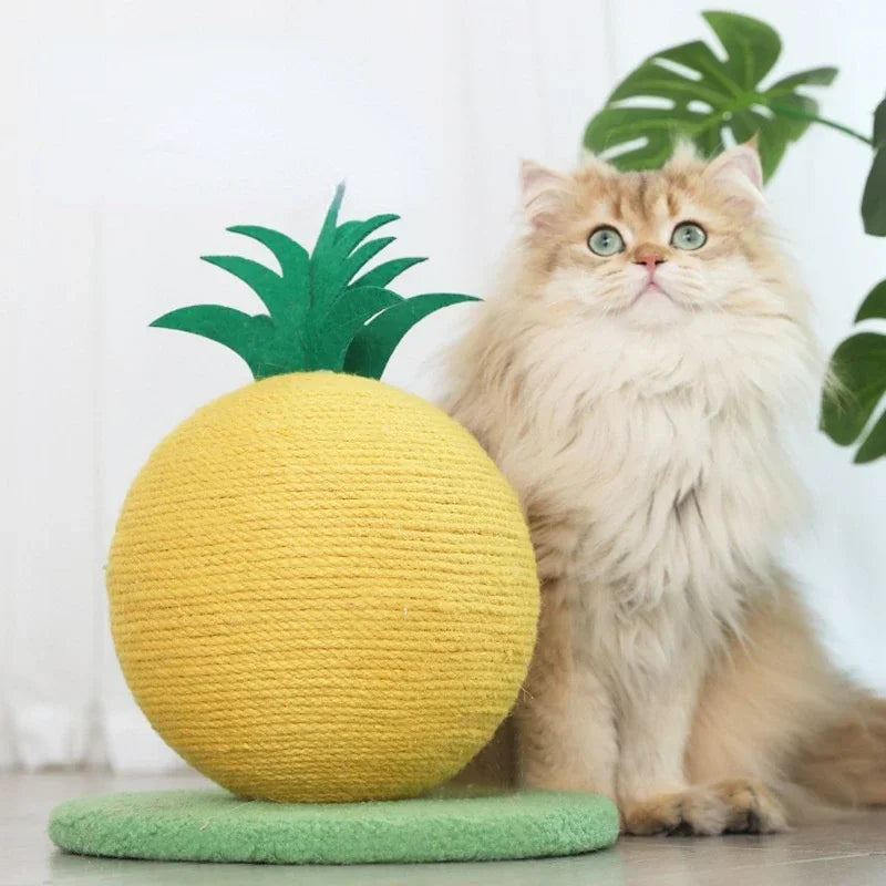Katzen-Kratzball