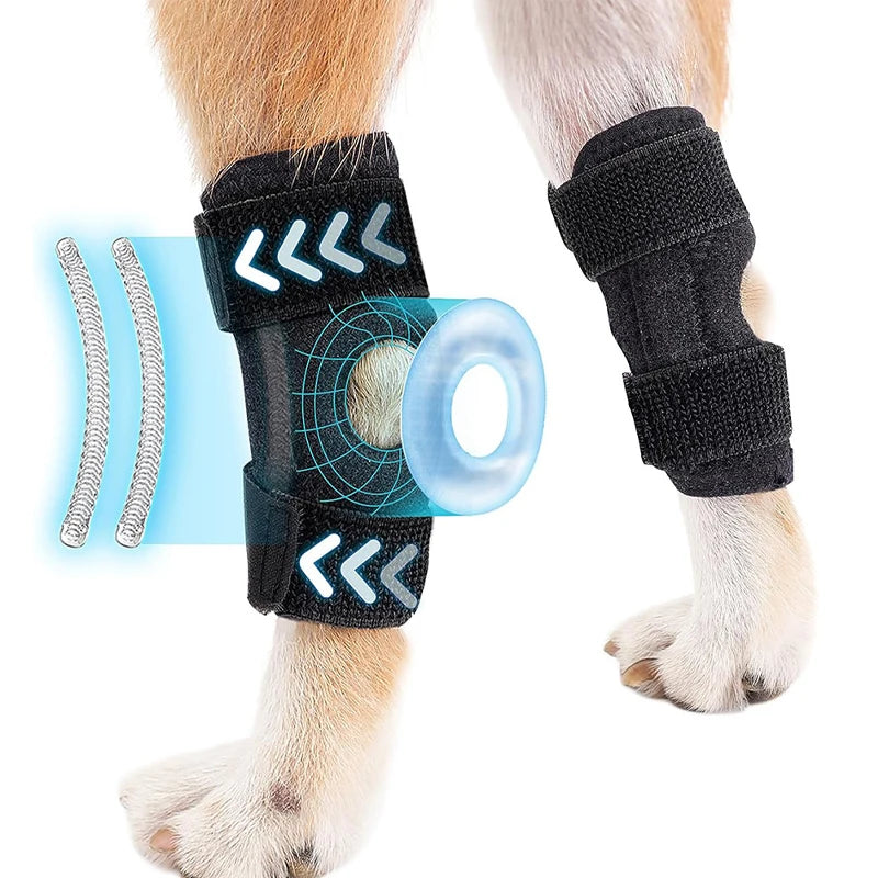 Beinschiene für Hunde