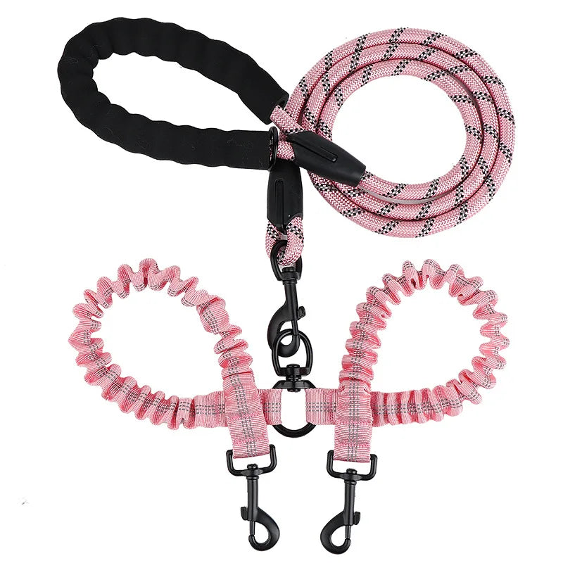 Doppelleine für zwei Hunde