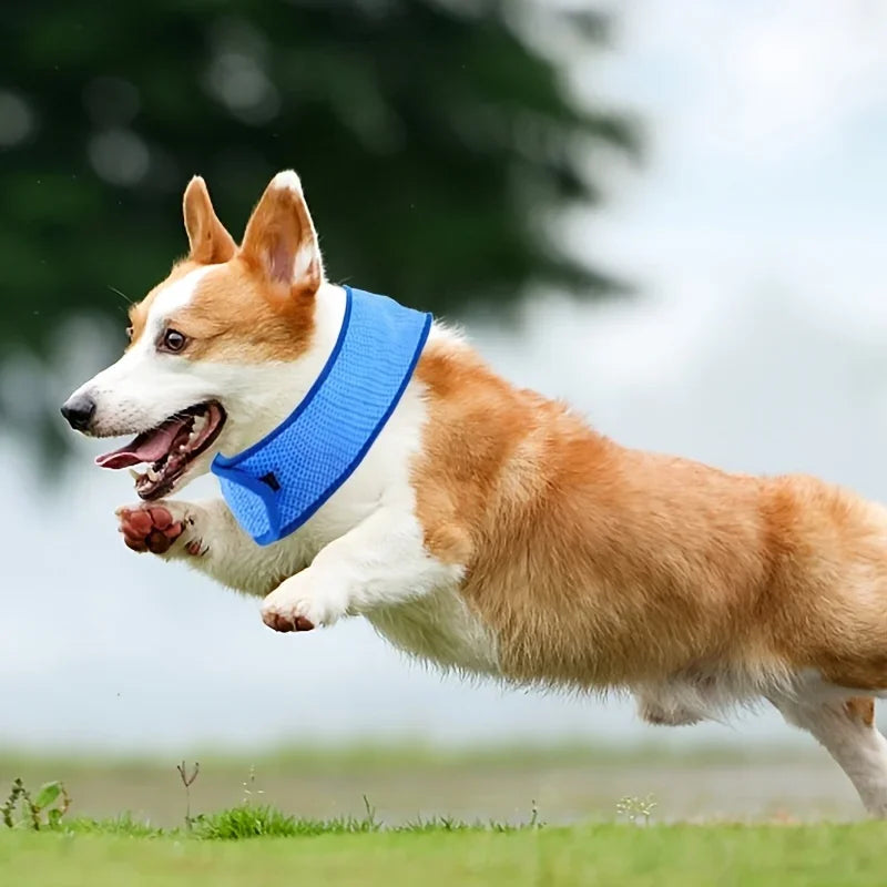 Erfrischungsschal für Hunde & Katzen