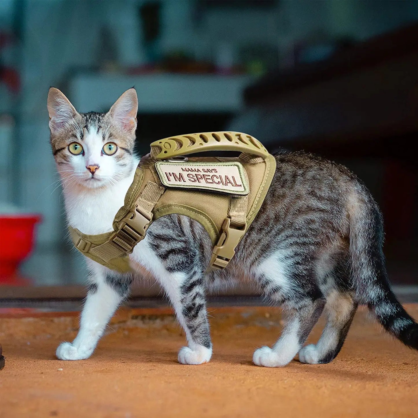 Spezial Katzen-Geschirr