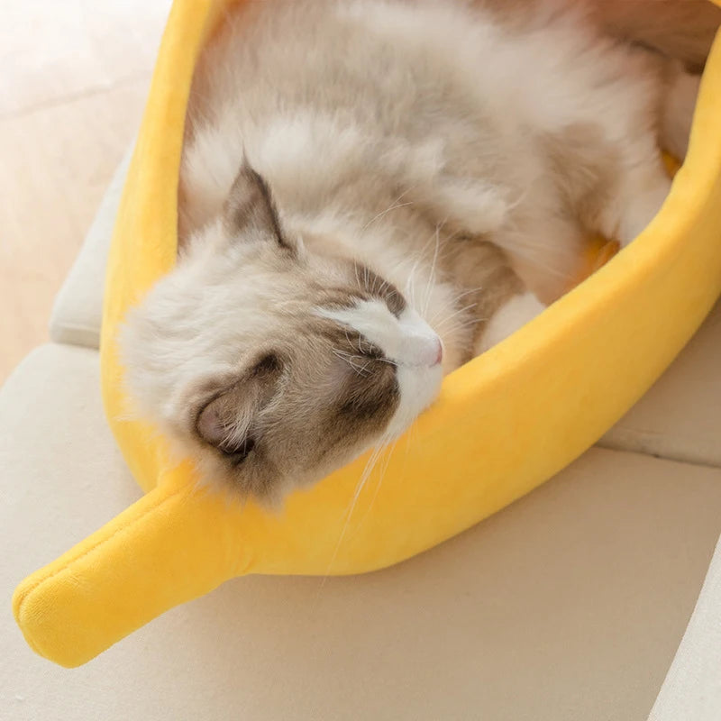 Bananen-Bett