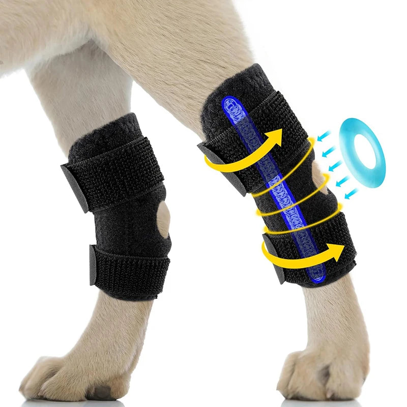 Beinschiene für Hunde