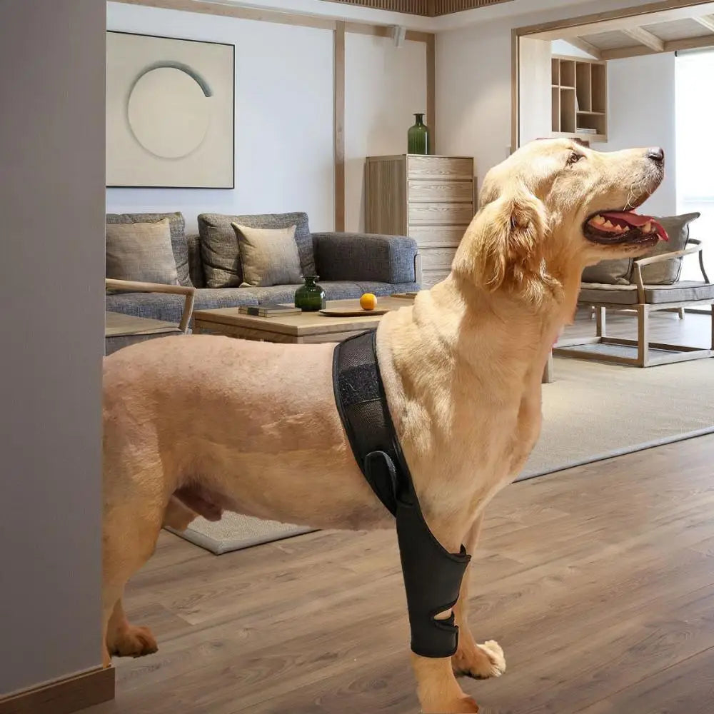 Beinschutzbandage für Hunde