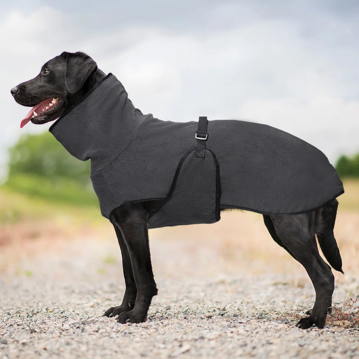 Winterjacke für große Hunde