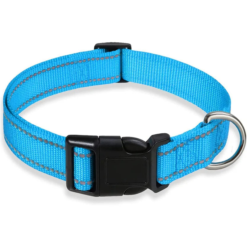 Reflektierendes, verstellbares Hundehalsband