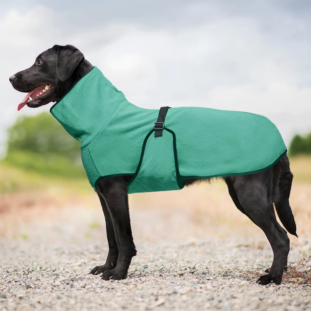 Winterjacke für große Hunde