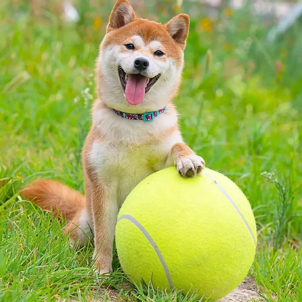 Großer Tennisball für Hunde