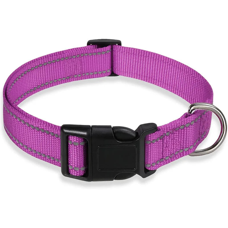 Reflektierendes, verstellbares Hundehalsband