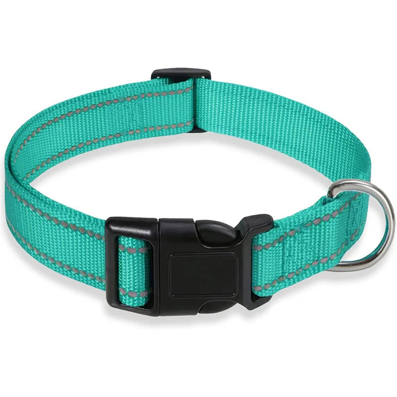 Reflektierendes, verstellbares Hundehalsband