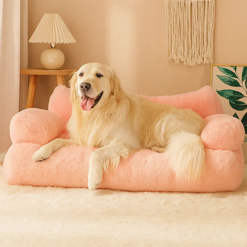 TraumLounge – Hundesofa mit Komfort und Stil