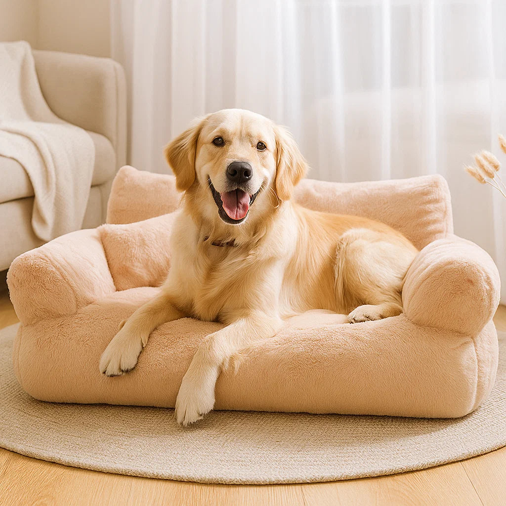 TraumLounge – Hundesofa mit Komfort und Stil