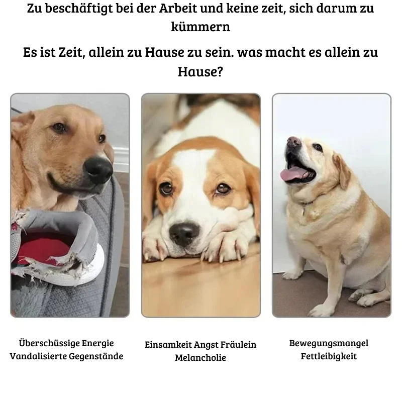 Hunde-Tennisball-Werfer