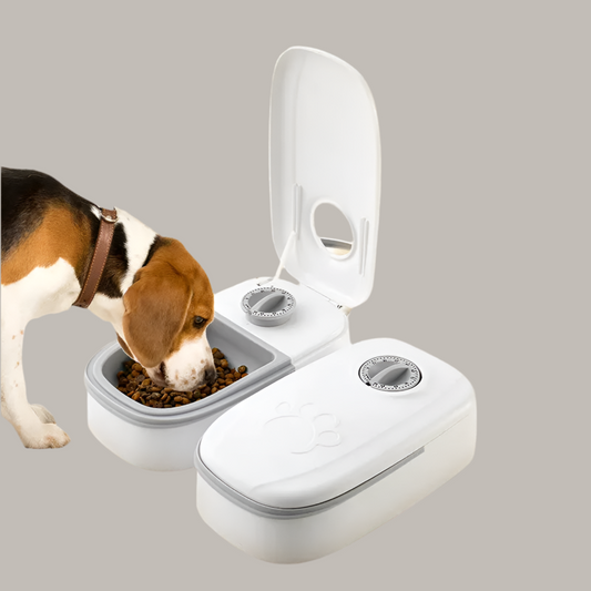 Automatischer Futterspender mit Timer