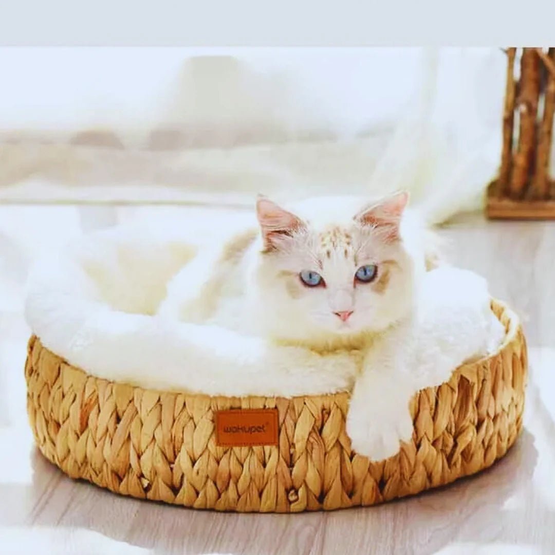 WeidenTraum – Weidenkorb Katzenbett mit natürlicher Schlafmatte