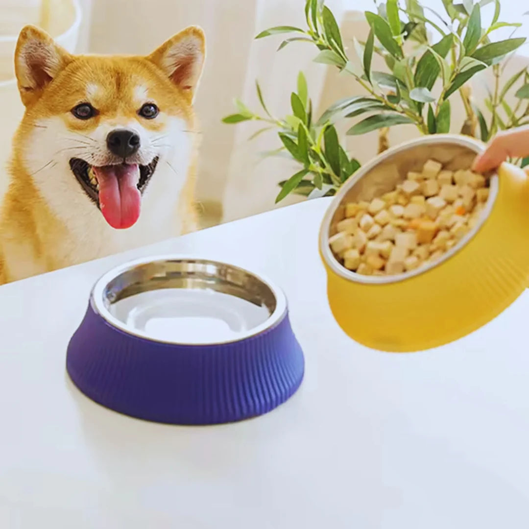 FressFest – Edelstahl-Napf mit rutschfester Silikonbasis