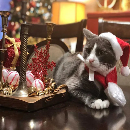 Weihnachtsmütze mit Schal