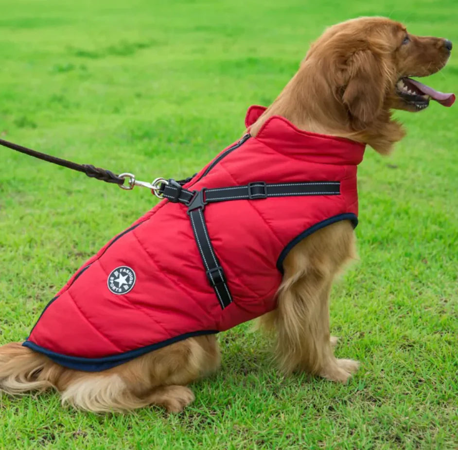 FrostFell Hundejacke – Wasserfeste Winterjacke mit integriertem Geschirr