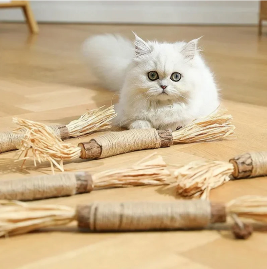 Katzen-Zahnreinigungs-Sticks
