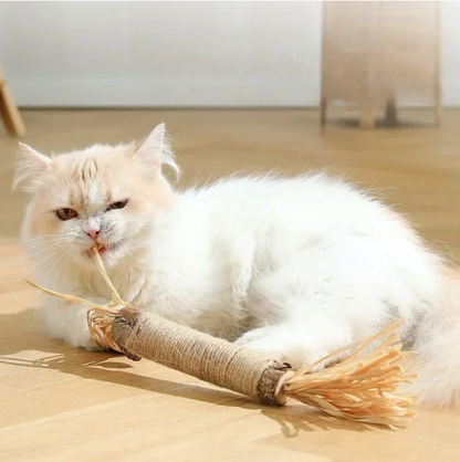 Katzen-Zahnreinigungs-Sticks