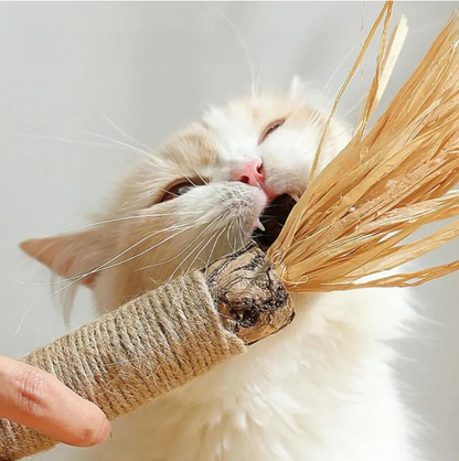 Katzen-Zahnreinigungs-Sticks