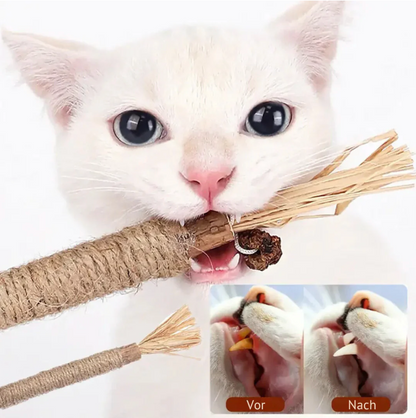 Katzen-Zahnreinigungs-Sticks