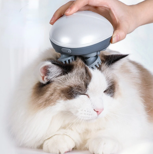 Massagegerät für Katzen