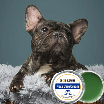 Pflege- & Schutzcreme für Hundeschnauzen