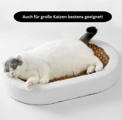Luxus-Katzenbett