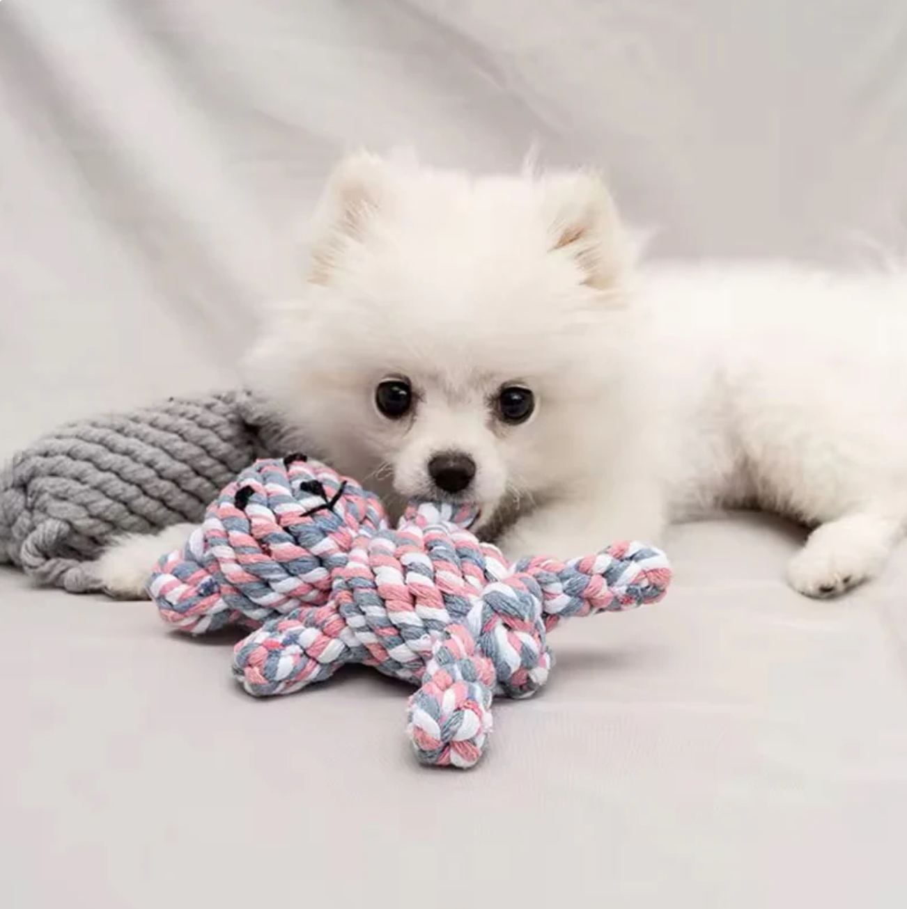 Robustes Kuscheltier für Hunde