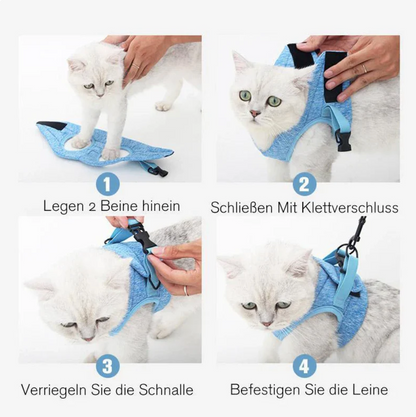 Sicheres Katzen-Geschirr mit Leine