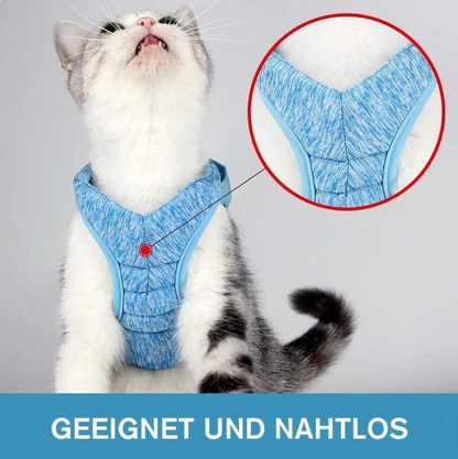 Sicheres Katzen-Geschirr mit Leine