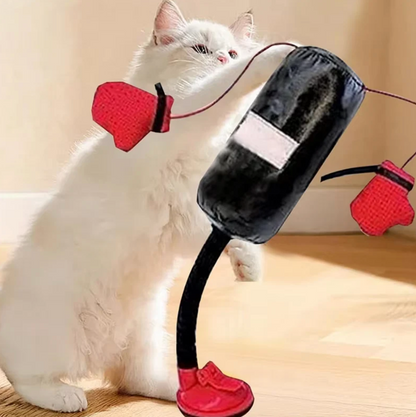 Katzen-Boxsack
